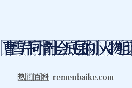 曹雪芹同情社会底层的小人物组词是什么意思的图片